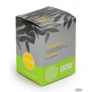 CS-PH6110Y